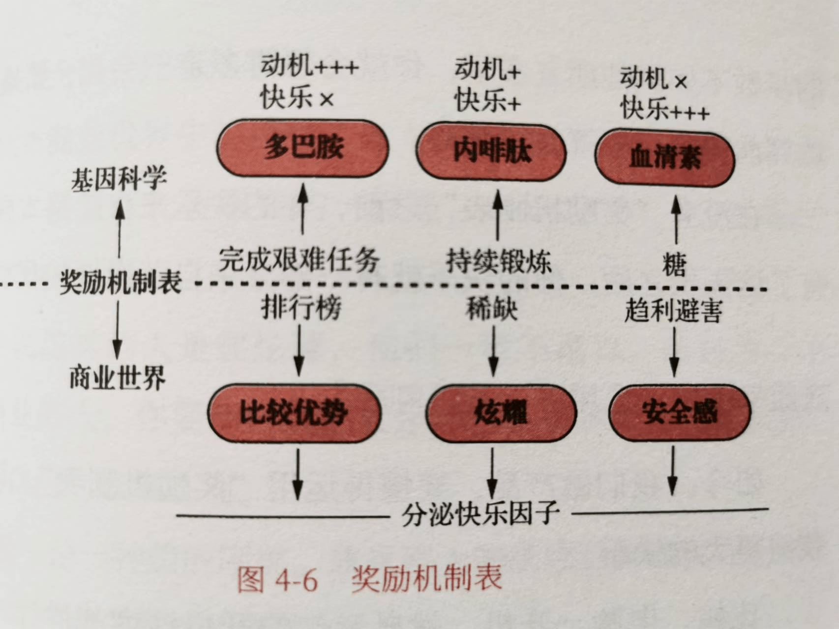 圖片3