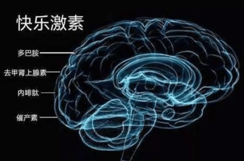 如何應用基因科學激勵員工？