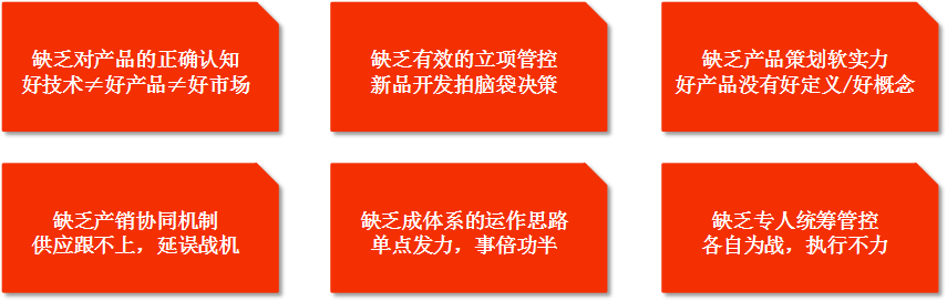 圖片13